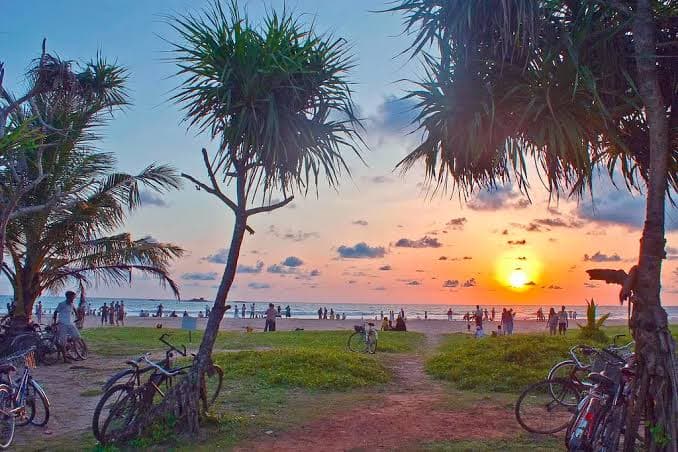 Community and content experiences in Sri Lanka