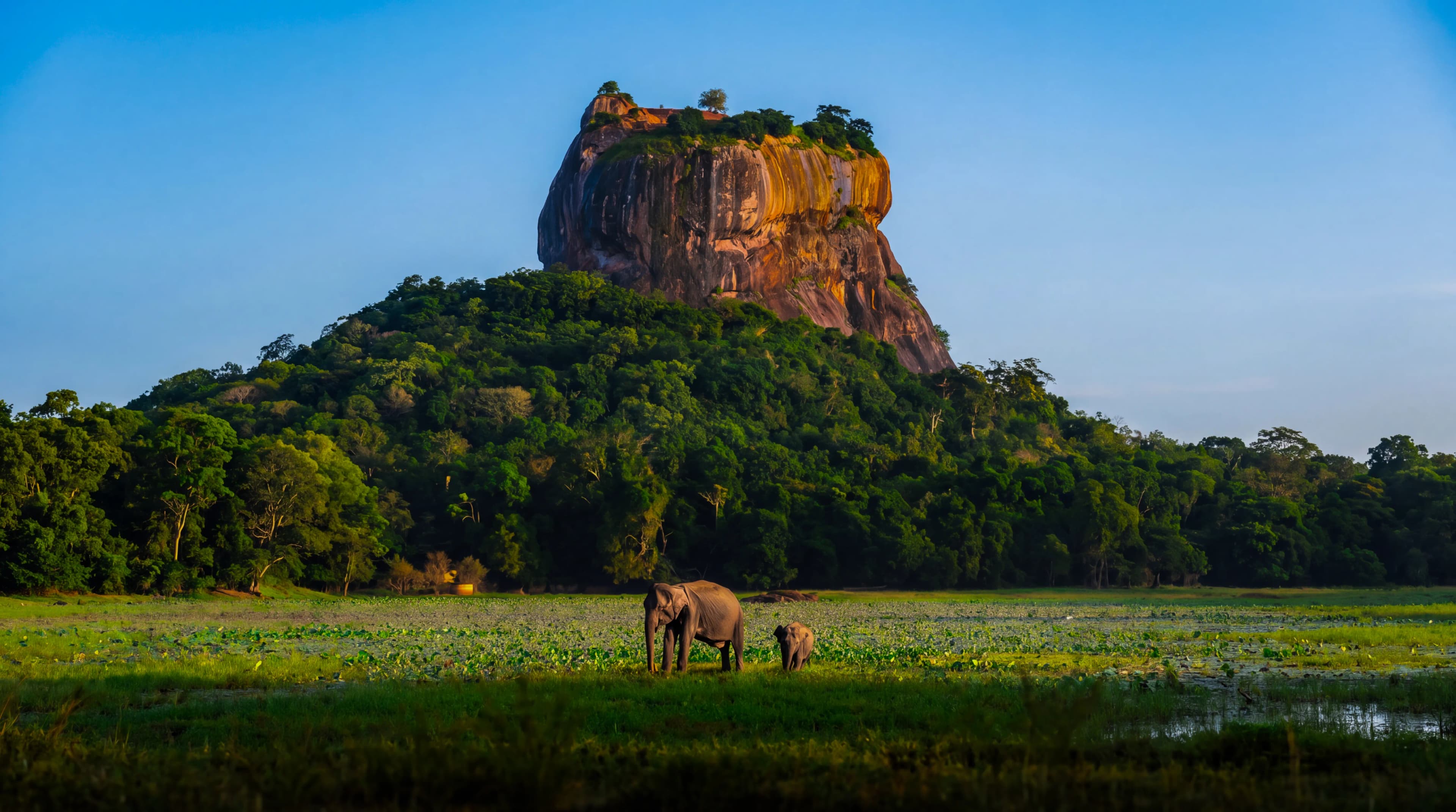 Curated holiday packages across Sri Lanka